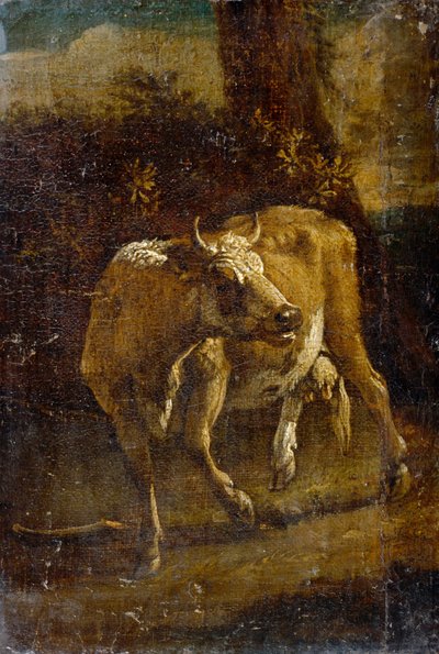 Une Vache - Paulus Potter